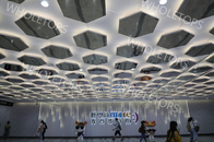Алюминиевая панель потолка шестиугольные декоративные 1100 для делюкс коммерчески центра
